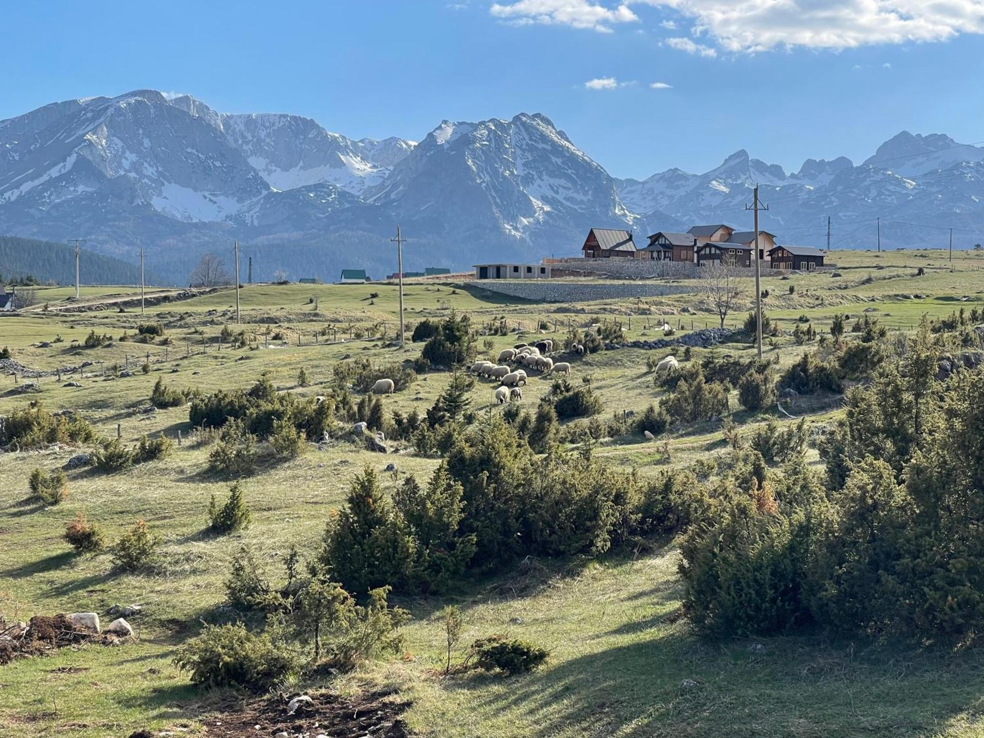 Peaksview Chalets Žabljak Exterior foto